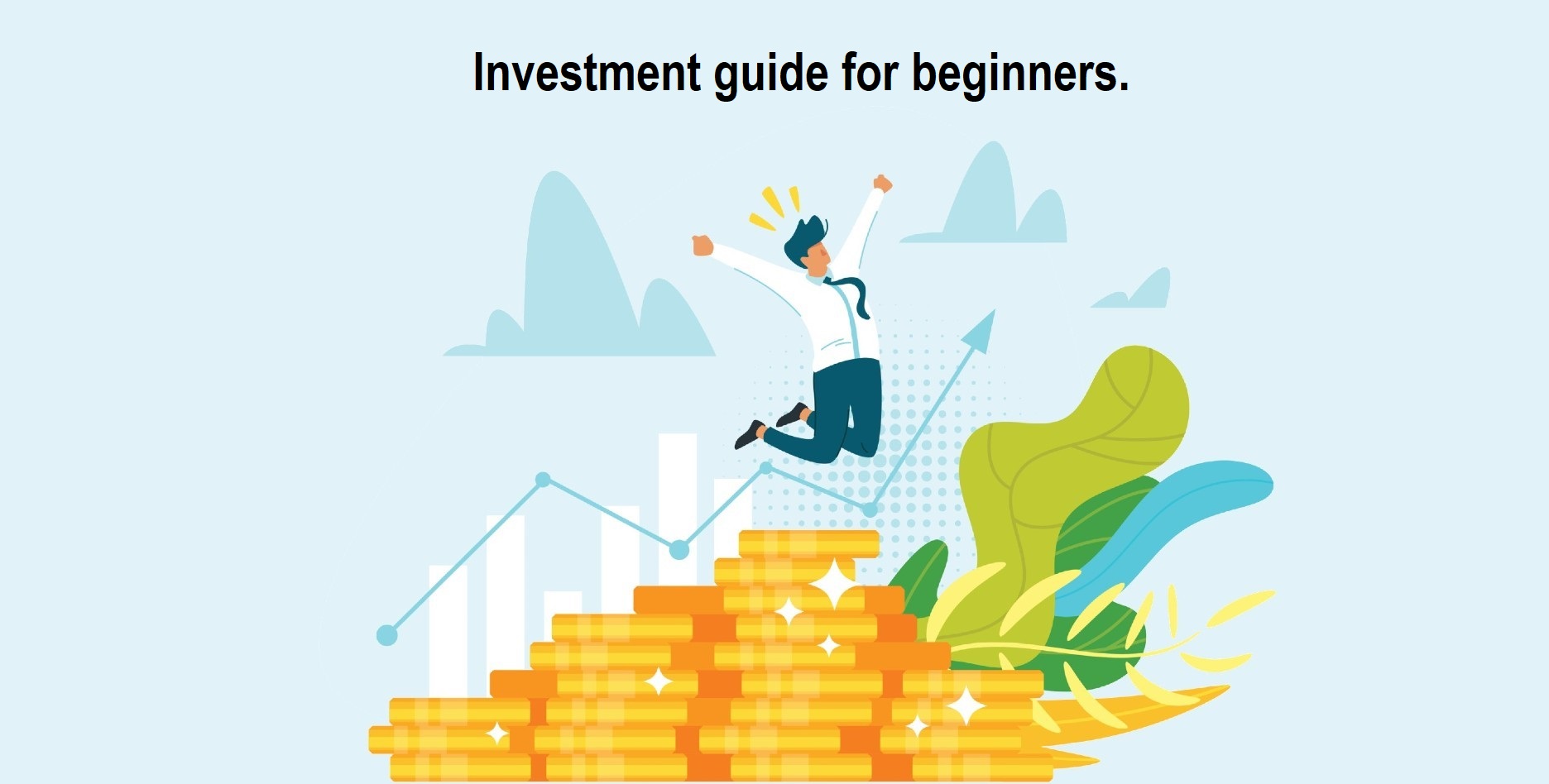 Investment Guide for Beginners